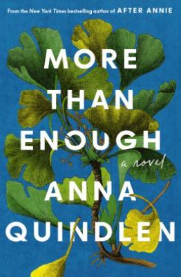 More Than Enough : a novel /