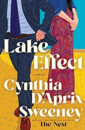 Lake Effect : a novel /